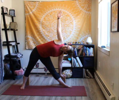 vitalityhappinesstriangle